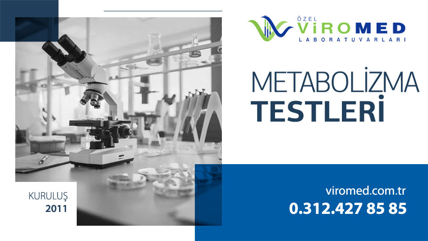  Metabolizma Testleri 