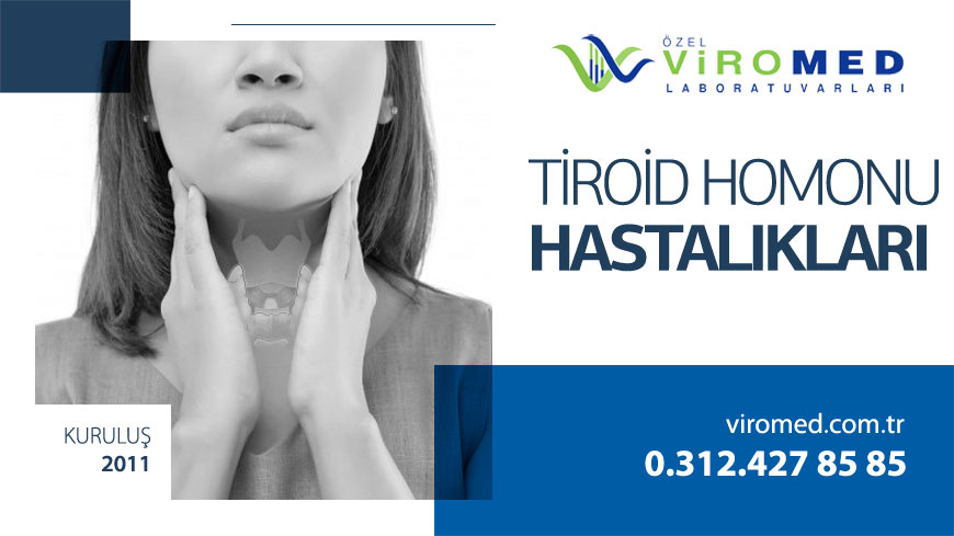  Tiroid Hormonu Hastalıkları ve Testi 