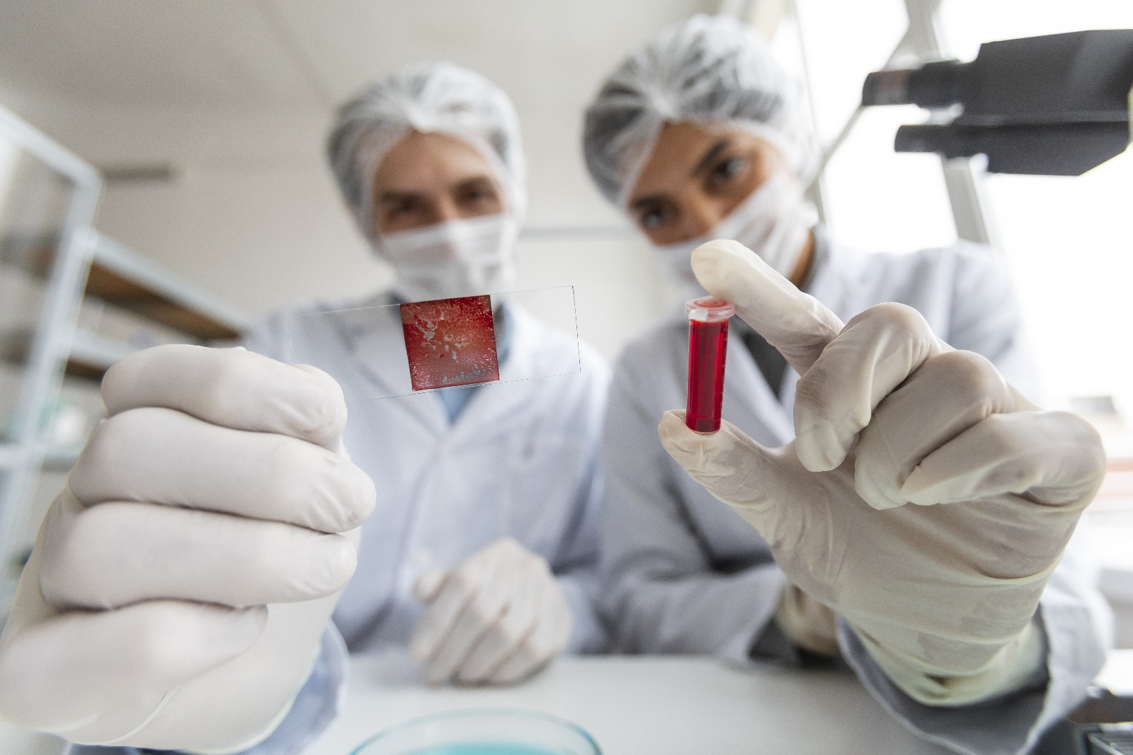 Moleküler Test